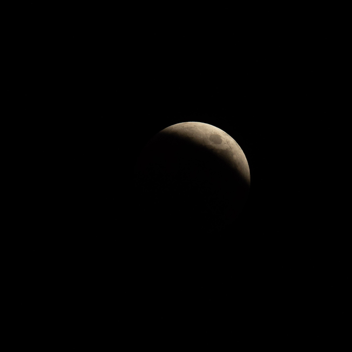 1/200 秒,F8,iso 400