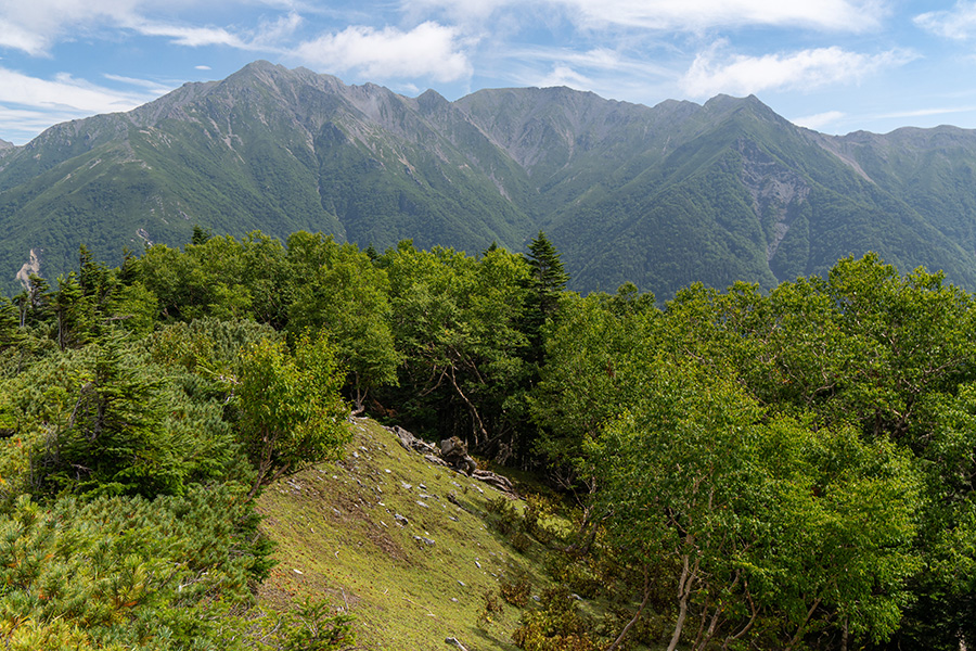 新蛇抜山から農鳥岳