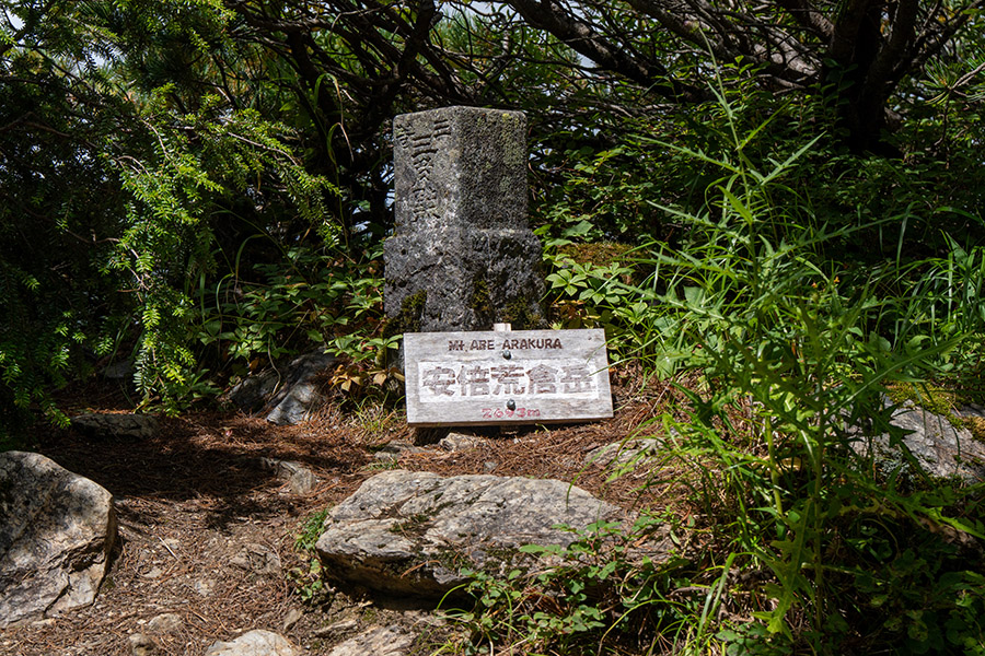 安倍荒倉岳三角点