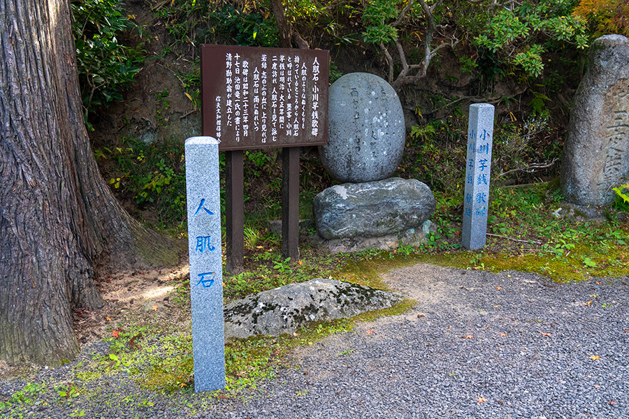人肌石