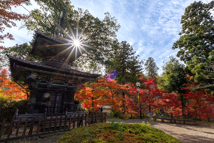福島の紅葉スポット】文知摺観音普門院で紅葉狩りをしてきました