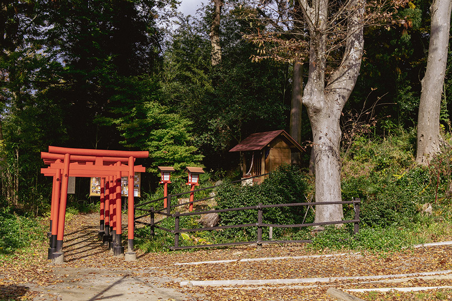 信夫山・ねこ稲荷神社