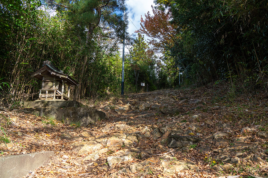 羽黒神社への道