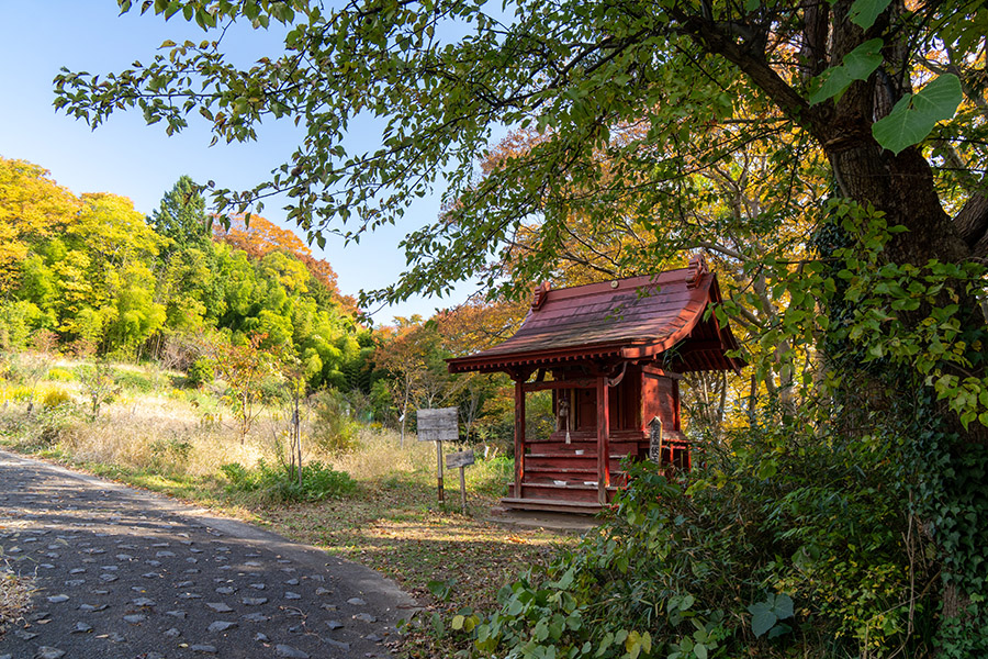正八幡宮
