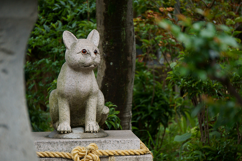 立川・蚕影神社の猫像