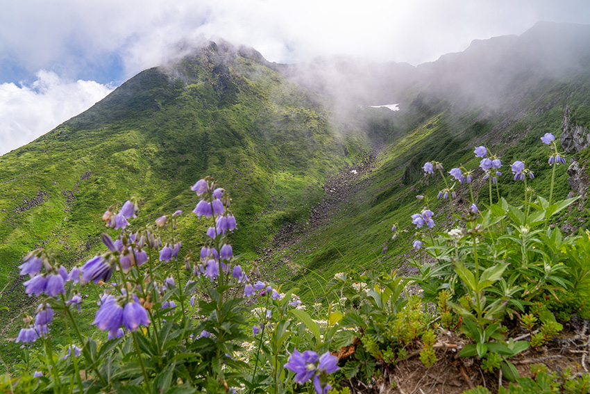 花の季節に東北の山へ…写真は鳥海山