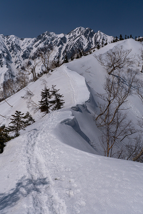 雪庇の道