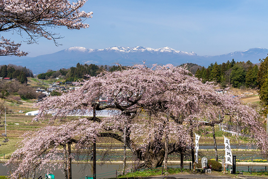 「延命地蔵」とともに　遠くに安達太良山