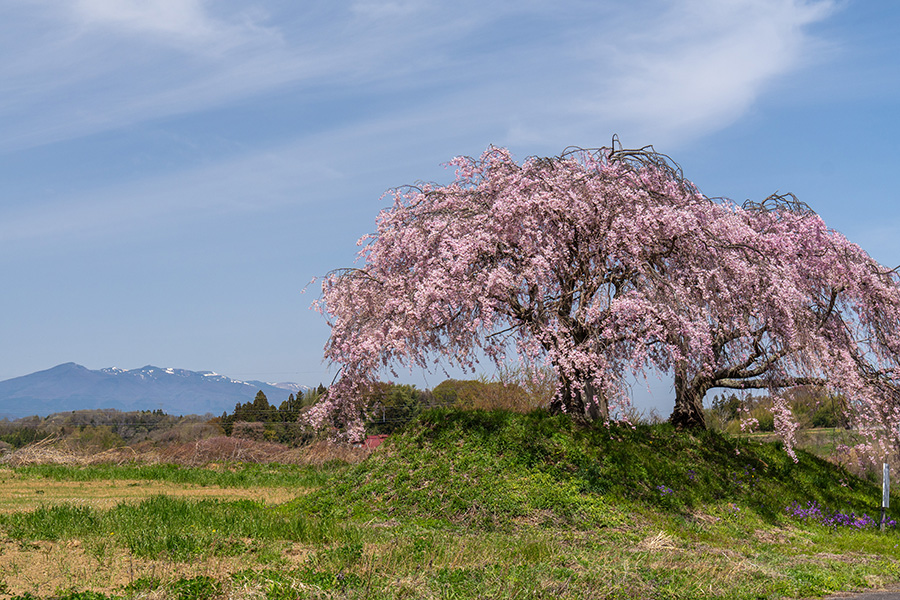 安達太良山を望む丘陵地帯にあります