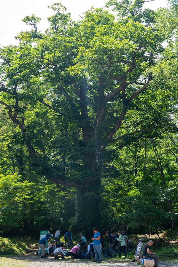 折立登山口に到着!
