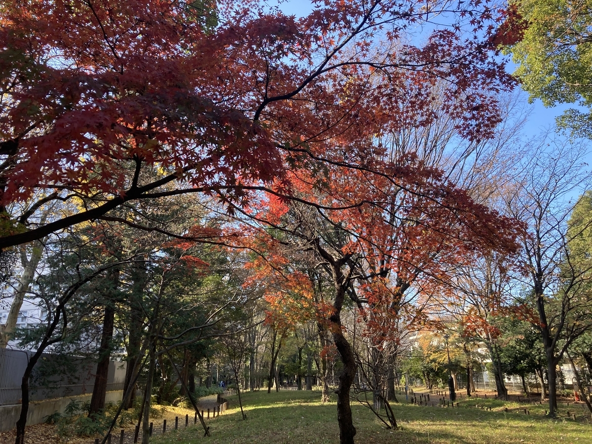 f:id:sunsuntaiyo2525:20211209174828j:plain