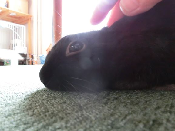 f:id:suoaei:20210416191400j:plain