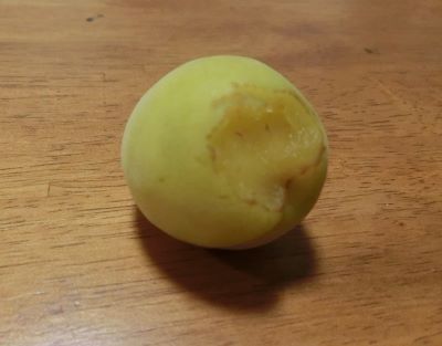 f:id:suoaei:20210620164553j:plain