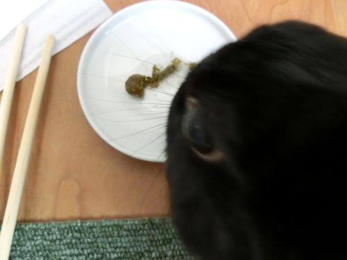 f:id:suoaei:20210621194040j:plain