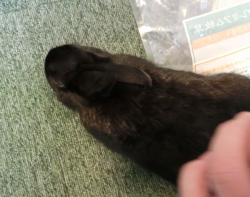 f:id:suoaei:20210701174113j:plain