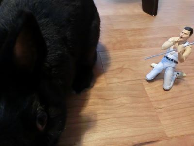 f:id:suoaei:20210709211509j:plain