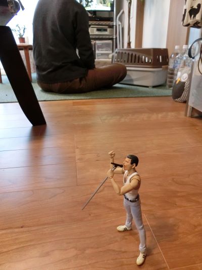 f:id:suoaei:20210709211614j:plain