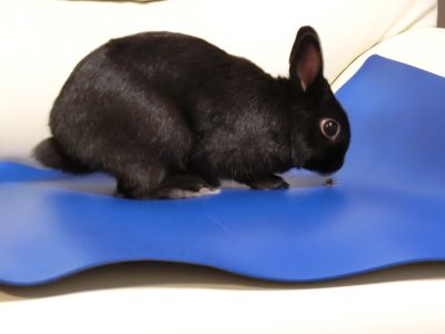 f:id:suoaei:20210720195612j:plain