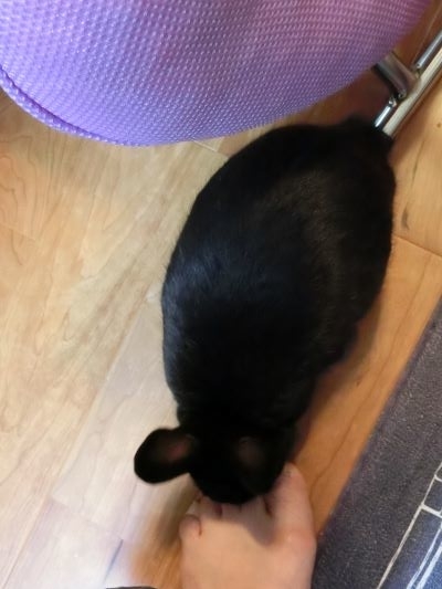 f:id:suoaei:20210729211434j:plain