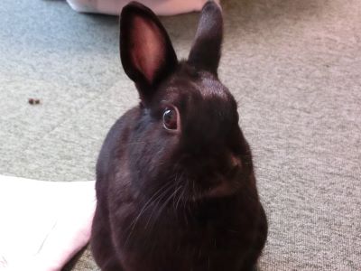 f:id:suoaei:20210729211726j:plain