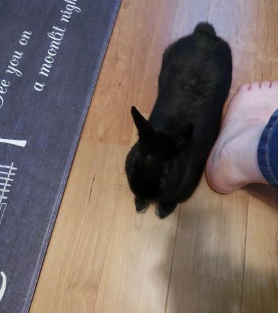 f:id:suoaei:20210729212150j:plain