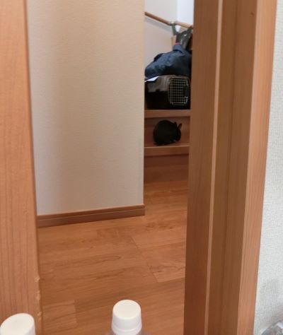 f:id:suoaei:20210825204140j:plain