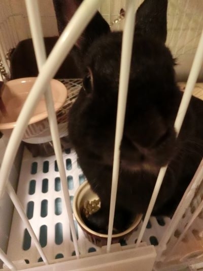 f:id:suoaei:20211029225814j:plain