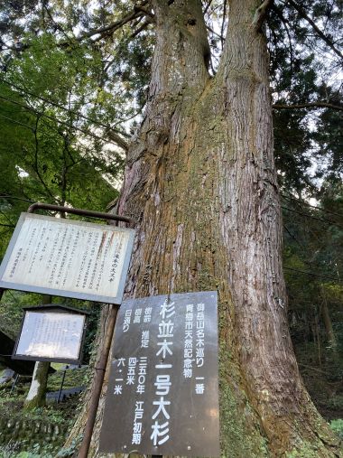 f:id:suoaei:20211103220722j:plain