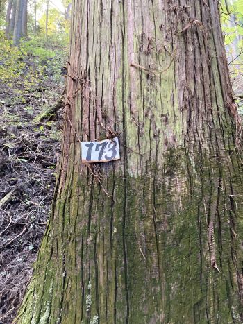 f:id:suoaei:20211103223849j:plain