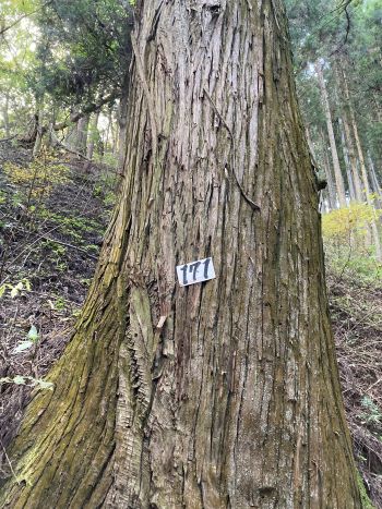 f:id:suoaei:20211103223914j:plain