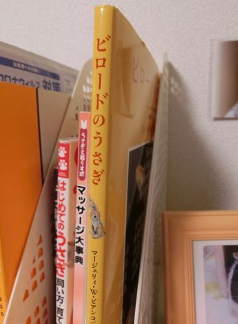 f:id:suoaei:20211208213856j:plain