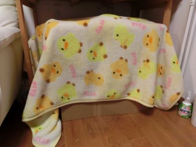 f:id:suoaei:20220121205721j:plain
