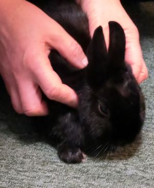 f:id:suoaei:20220121212945j:plain