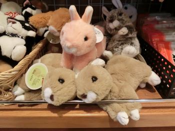 f:id:suoaei:20220205221950j:plain