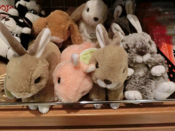 f:id:suoaei:20220205222249j:plain