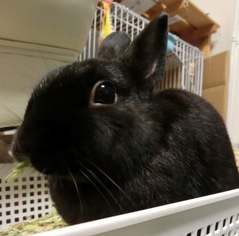 f:id:suoaei:20220205232510j:plain