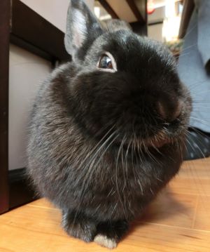 f:id:suoaei:20220205232750j:plain