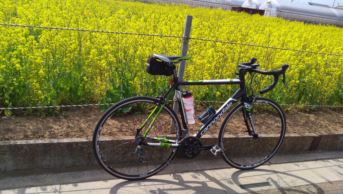 f:id:suou9072:20190410161020j:plain