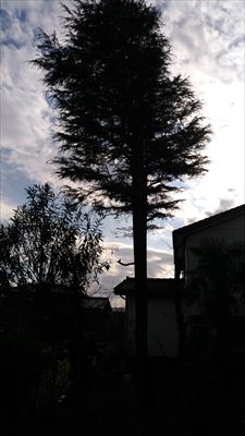 P_20161219_132730_R