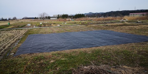 IMG_20190306_150503