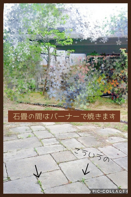 Collage 2020-06-06 20_50_42