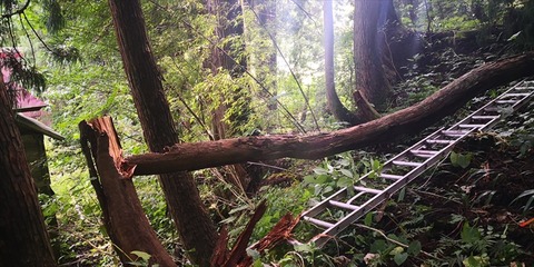IMG_20190905_135615