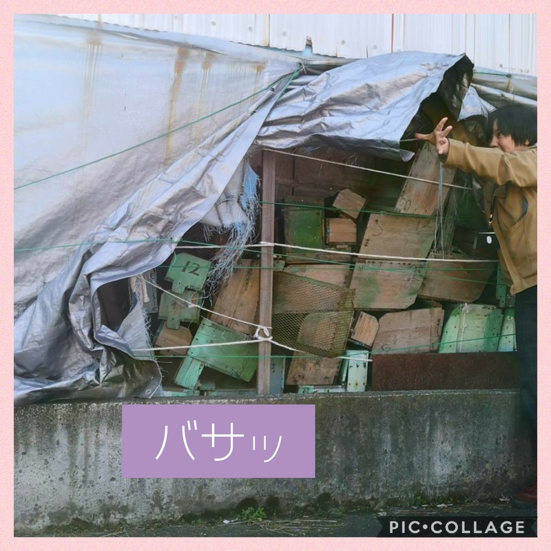 Collage 2020-03-22 18_11_39