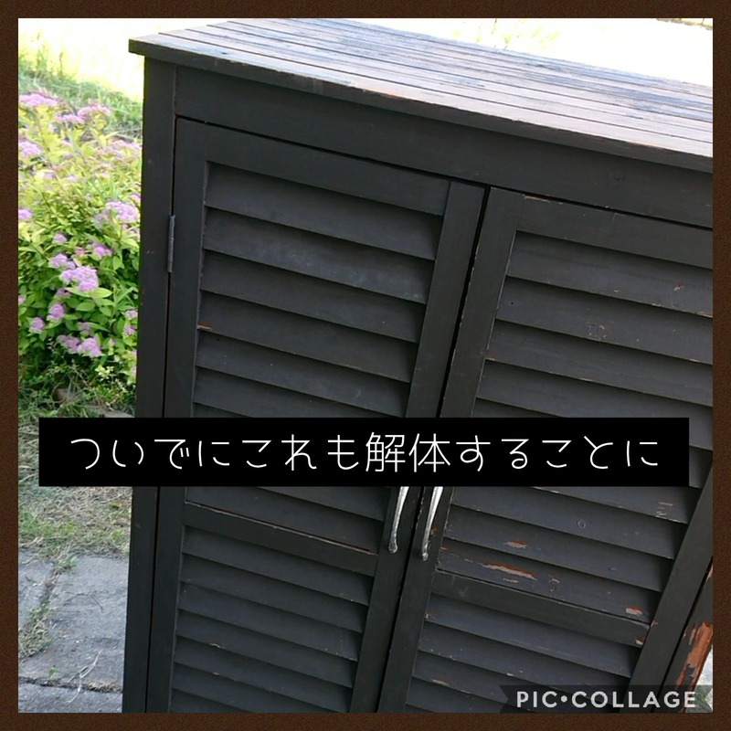 Collage 2020-06-07 17_03_20
