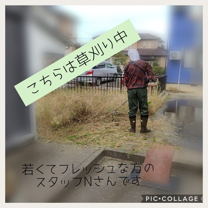 Collage 2020-11-25 22_16_16