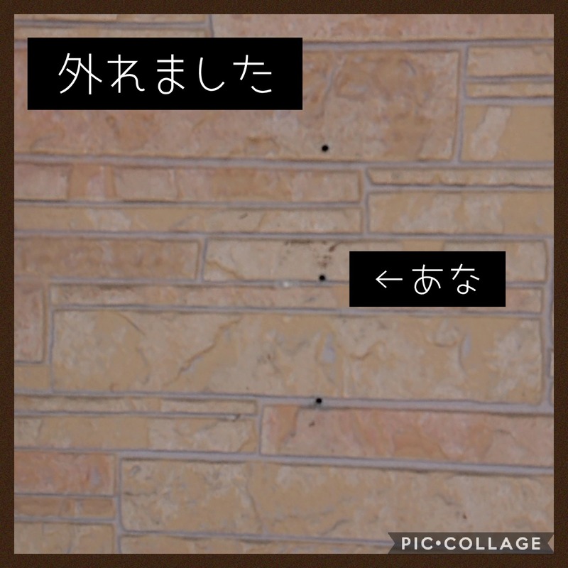 Collage 2020-06-07 20_19_11