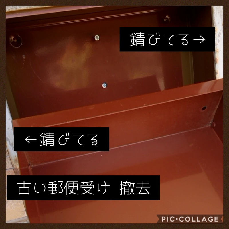 Collage 2020-06-07 16_48_15