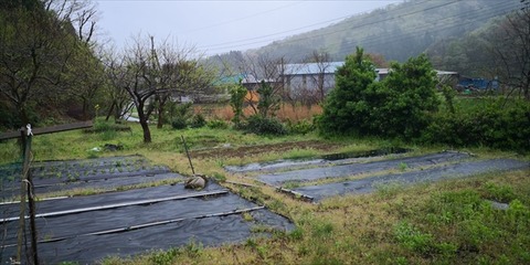 IMG_20190425_090056