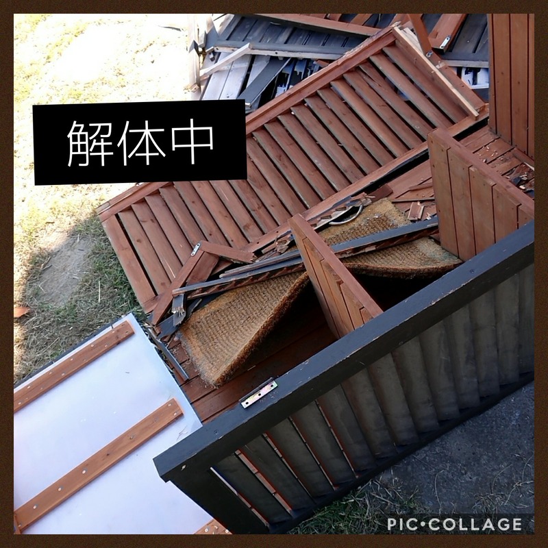 Collage 2020-06-07 16_59_11