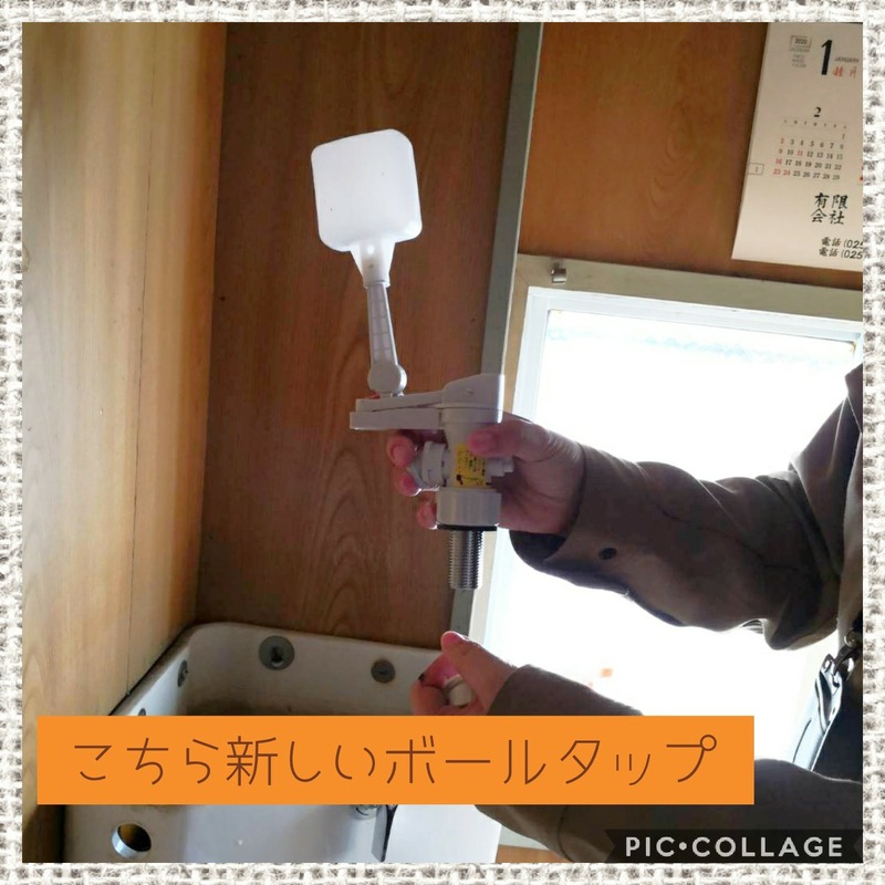 Collage 2020-02-01 08_26_37